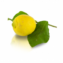 Citrony