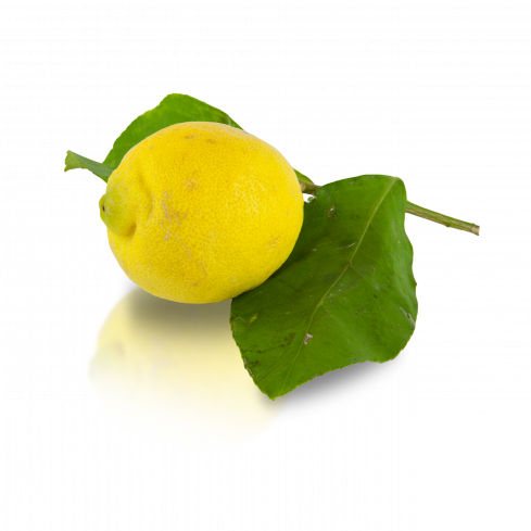 Citrony